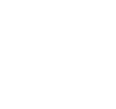 Check!